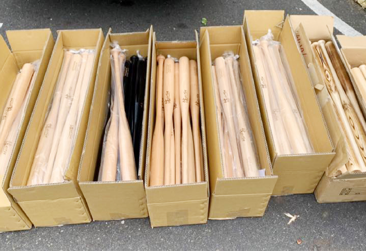 woodwellorderbats-03
