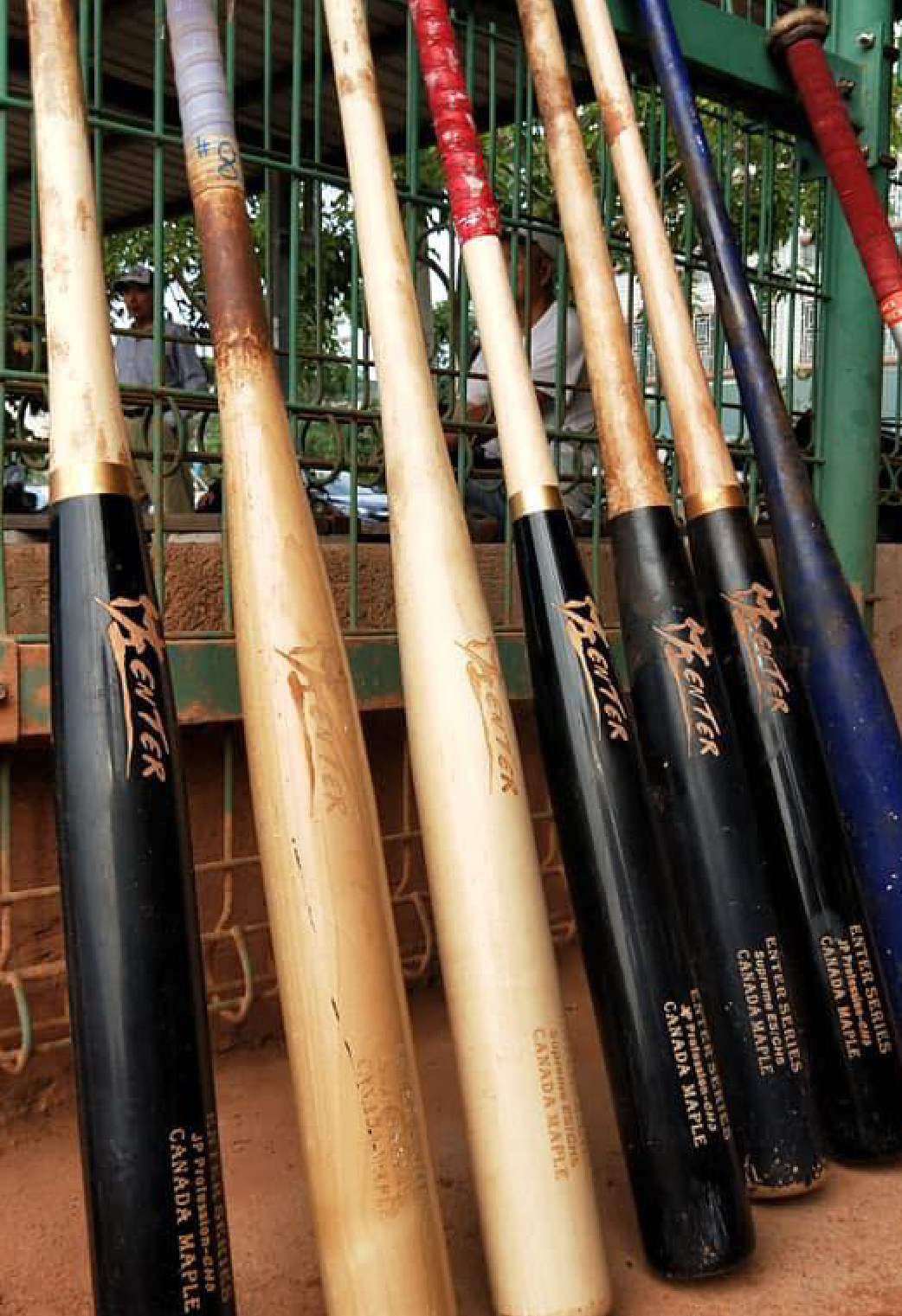 woodwellorderbats-05