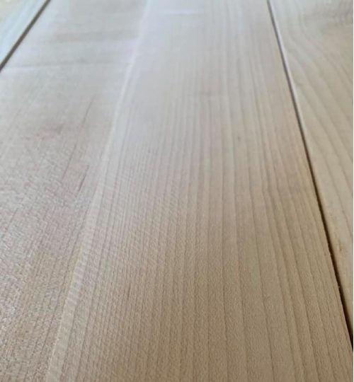 CH8 BATS _blog_pic-04