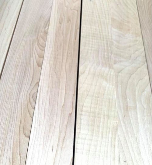 CH8 BATS _blog_pic-05