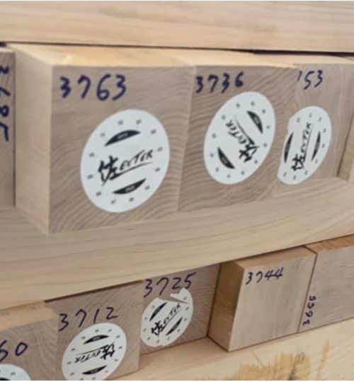 CH8 BATS _blog_pic-06