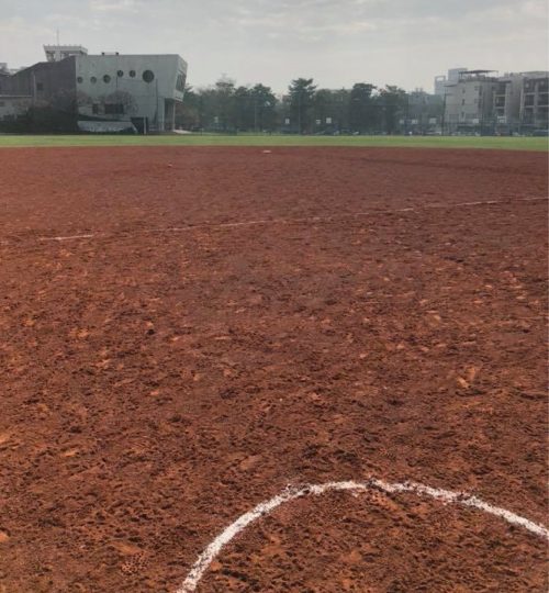field in taiping-02
